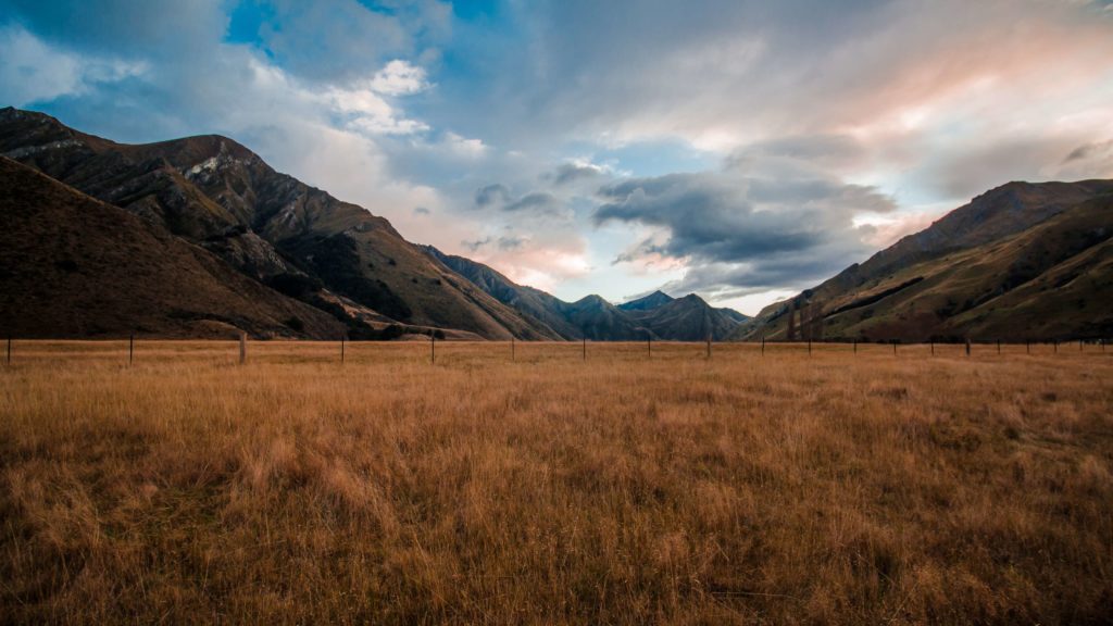 Grass Field and Mountains