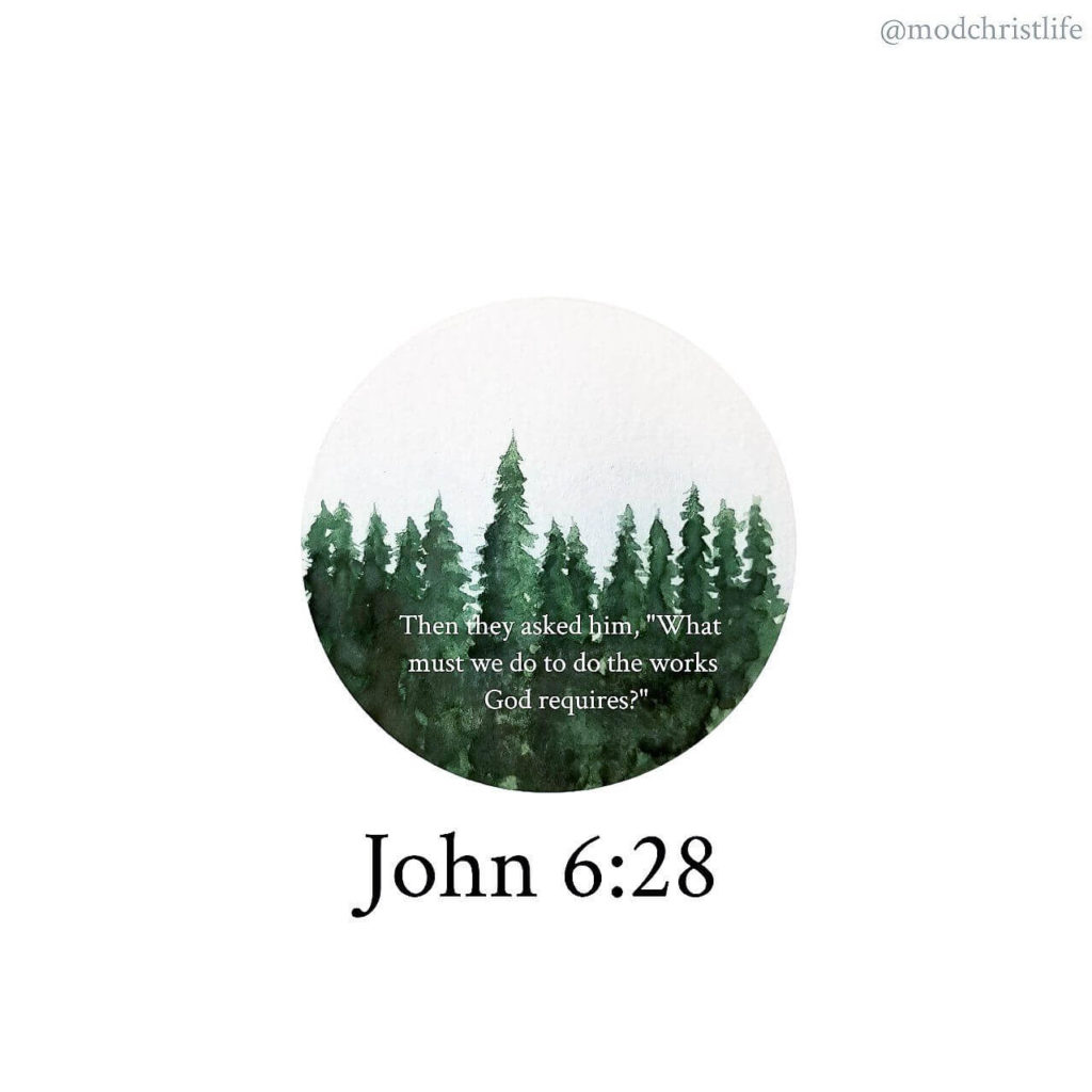 John 6:28