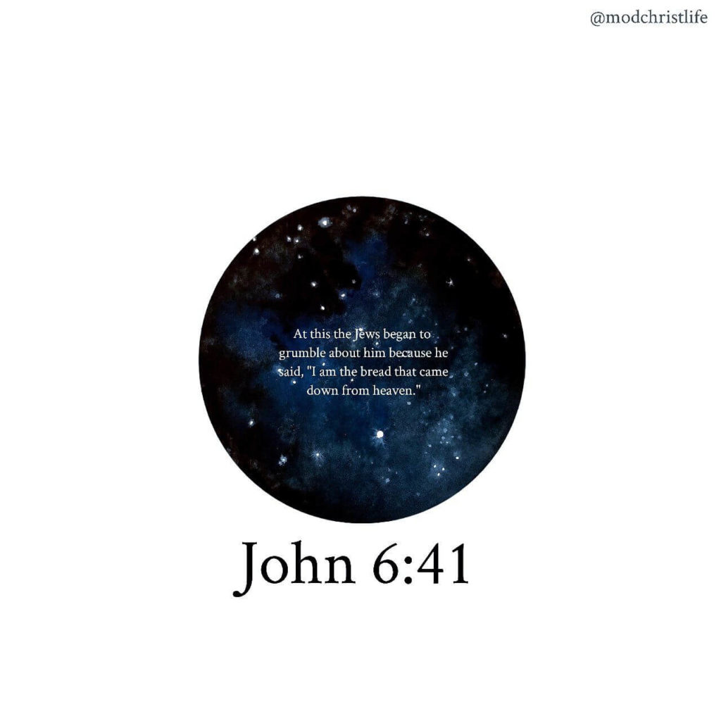 John 6:41