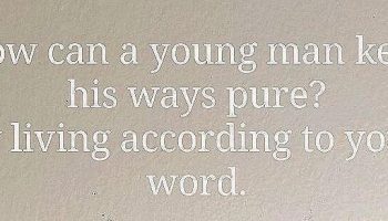 Psalms 119:9